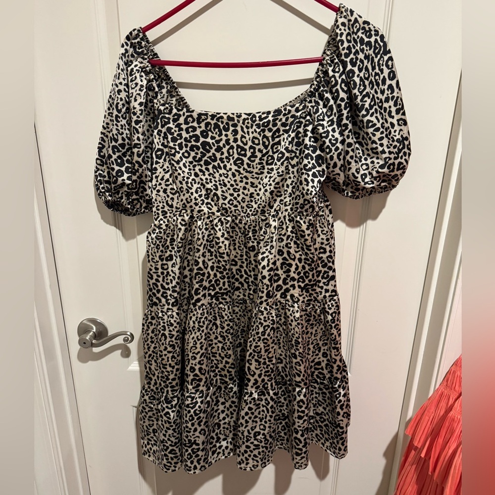 Leopard Print Dress from Lavish. Worn a few times, great shape!